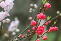 后半夜总醒还做噩梦,当心是疾病的预示,不可轻视