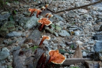 渡亡知识,人流后渡亡的流程