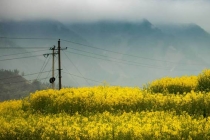 投胎技术很重要，有人帮忙超度能往生善道