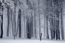 堕胎的果报与化解方法,千万不要相信堕胎无伤害