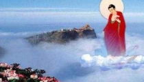 大师解析回向的意思,教你回向方法