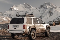 财运低迷咋办 这5种植物让你旺起来