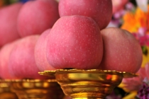 辟邪的骨头 这几种骨头吃完肉不要扔