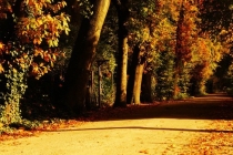 化解堕胎婴灵的回向文,化解婴灵注意事项