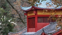 能辟邪的东西有很多,但是大多数人都知道这些东西是可以辟邪
