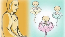 婴灵超度价格 , 婴灵怎么超度最有效