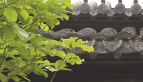 当你梦见上坟烧纸,不同的梦境有着不一样的意
