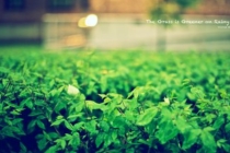 子卯相刑犯小人如何破解，操作简单，小人立马消失