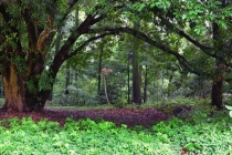 正规阴债查询表多少卷是什么？还阴债流程