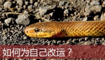 如何为自己改运?