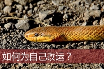 如何为自己改运？