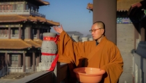 很多人不知道狗牙能够辟邪,狗牙辟邪需要注意的问题分享