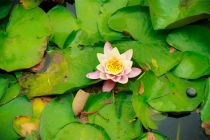 欠下情债的因果报应，因果循环报应不爽