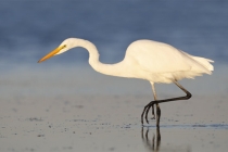 倒霉转运民间秘法，让你2021年一直旺