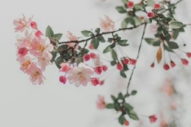 怎样知道房子风水好不好,需要知道这几点基础知识