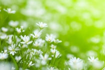 因果报应是真的吗？以实际例子告诉你有没有