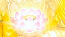 我堕胎后惨痛的报应,如今追悔莫及!