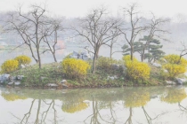 辟邪挂件常见的都有哪些,赶紧来看意想不到的辟邪之物