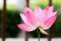 堕胎婴灵怎样超度 , 堕胎的人