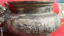 女人运气不好财运差,用绿植来改善
