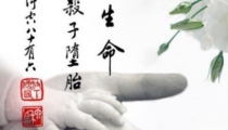 婴灵的哭泣:婴灵是怎么形成产生的?