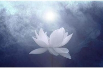 冤亲债主走掉的征兆