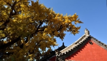 事业不顺利怎么化解,根据风水秘法化解