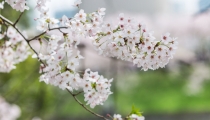 分手复合法术,轻松就能挽回前任恢复往日甜蜜