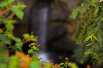 作恶之人终会有报应，做了坏事，小心为上