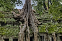 打掉胎儿灵魂会去哪里,他们会跟在父母身边