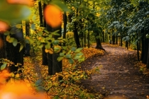 久病不愈气虚匮乏,换了睡觉的方向后,好了很多