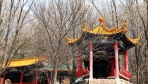 搬新家久治不愈,可能是布局方面出现问题