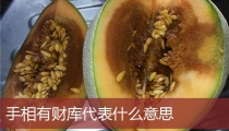 手相有财库代表什么意思