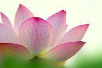 超度婴灵时的牌位怎么做 ， 道教超度法会