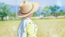 当小孩惊吓晚上叫还是中午叫,根据孩子情况来