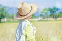 当小孩惊吓晚上叫还是中午叫，根据孩子情况来