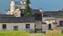 房子不住人放什么辟邪,这几样物品,驱邪还招财