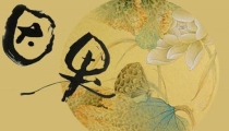 佛说堕胎的因果报应非常的厉害,需要化解才行