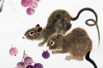 属鼠人开运和改运方法