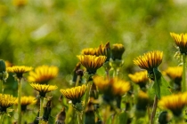 久病不愈胸闷查不出原因 有可能是风水出现问题