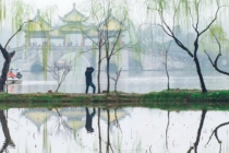 知识介绍：檀木的种类和辟邪效果