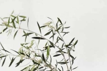 日坐财库看丈夫,夫宫临财大富大贵