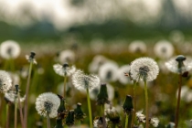 因果报应丝毫不爽意思，这些都是因果报应