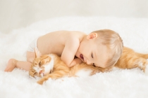 烟供食子香，想富贵消灾多做烟供