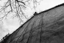 梦到前世投胎，梦境解析看一些是什么意思