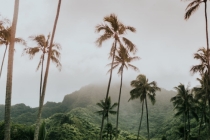 怀孕了总是噩梦连连,你知道是为什么吗