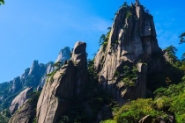 投胎成猪案例 平时积德行善才不会变成畜生