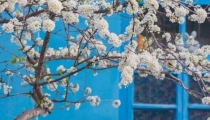 化解婴灵经文念诵,诵经文需要进行回向