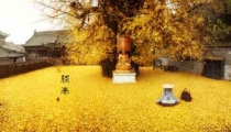 什么样的坟地布局才算好 埋对地方 造福一代又一代