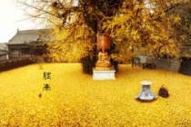 什么样的坟地布局才算好 埋对地方 造福一代又一代